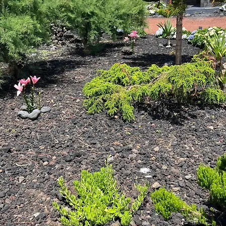 Casa Baleia Laranja Ocean-front Villa Madalena (Azores)