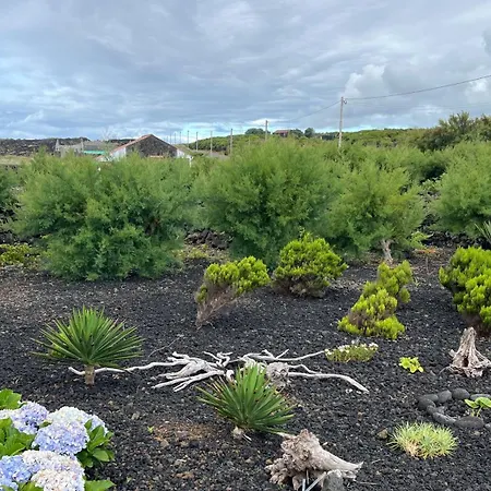 Casa Baleia Laranja Ocean-front *