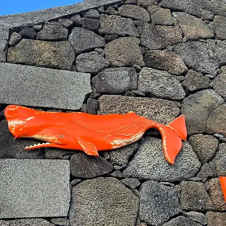 Casa Baleia Laranja Ocean-front Βίλα