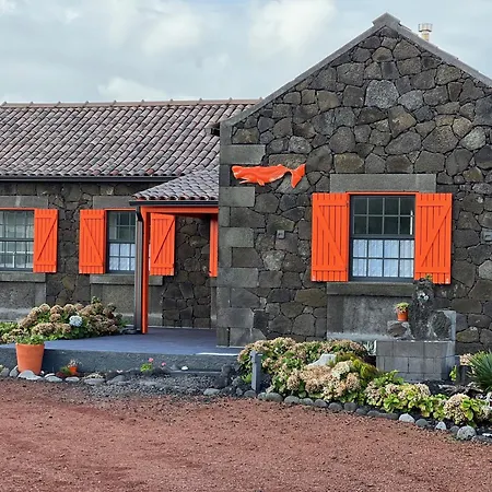 Βίλα Casa Baleia Laranja Ocean-front Madalena (Azores)