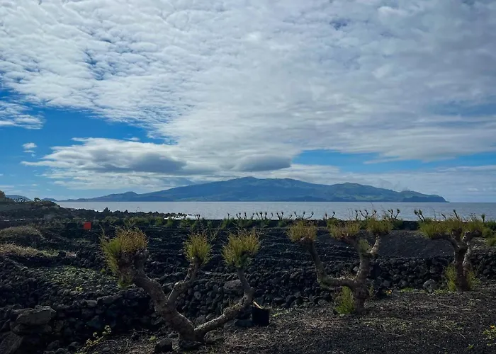 Casa Baleia Laranja Ocean-front Βίλα Madalena (Azores)