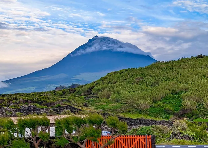 Casa Baleia Laranja Ocean-front Βίλα Madalena (Azores)