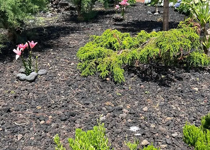 Casa Baleia Laranja Ocean-front Βίλα Madalena (Azores)