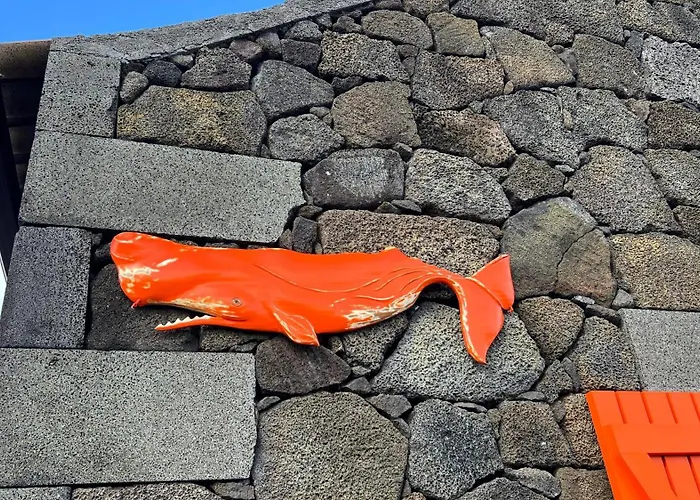 Casa Baleia Laranja Ocean-front Βίλα