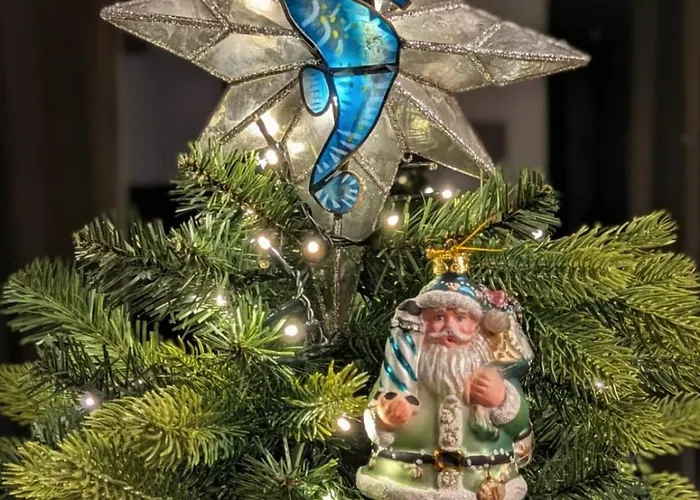 Casa Baleia Laranja Ocean-front * Madalena (Azores)