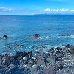 Casa Baleia Laranja Ocean-front فيلة *