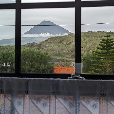 Casa Baleia Laranja Ocean-front ヴィラ *