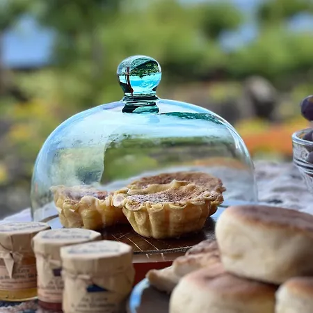 Casa Baleia Laranja Ocean-front ヴィラ