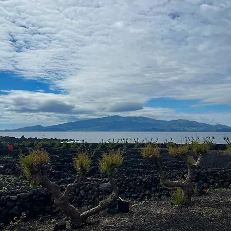 Casa Baleia Laranja Ocean-front ヴィラ マダレナ