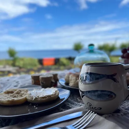 Casa Baleia Laranja Ocean-front ヴィラ