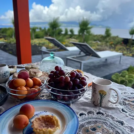Casa Baleia Laranja Ocean-front فيلة *