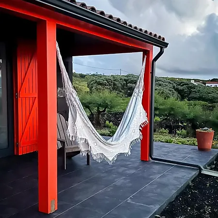 Casa Baleia Laranja Ocean-front
