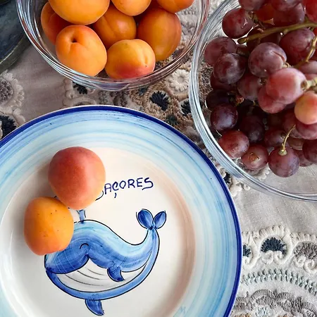 Casa Baleia Laranja Ocean-front ヴィラ *