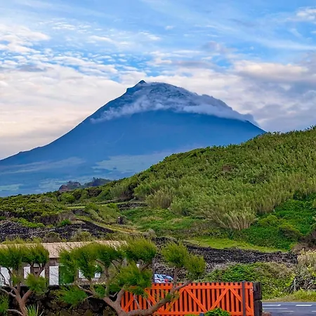 Casa Baleia Laranja Ocean-front ヴィラ マダレナ