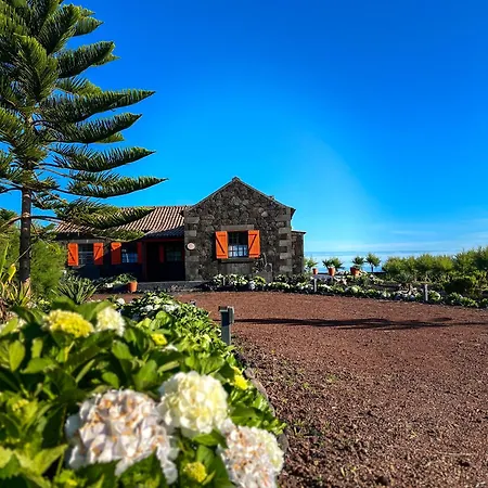 Casa Baleia Laranja Ocean-front *