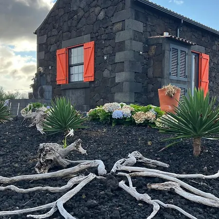 ヴィラ Casa Baleia Laranja Ocean-front *