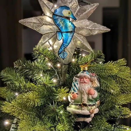 Casa Baleia Laranja Ocean-front * マダレナ