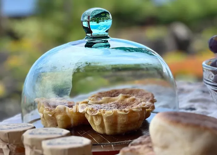 Casa Baleia Laranja Ocean-front Villa