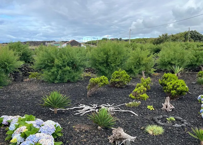 Casa Baleia Laranja Ocean-front *